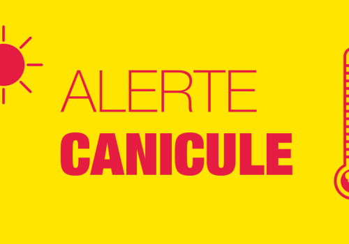 Canicule